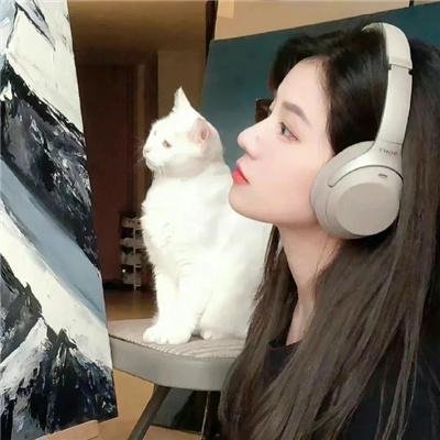 伟大的神秘马戏团